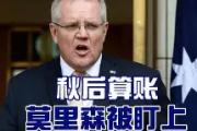 华体会皇马赞助商-不伦瑞克的困局：狮城军团陷入危机
