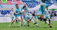 HTH Sports-沃尔夫斯堡队获得一场关键胜利的简单介绍