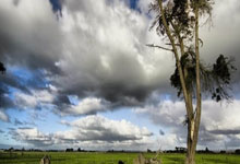 华体会APP-关于保加利亚憾负芬兰，晋级欧锦赛前景暗淡的信息