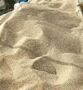 沙尔克04遭遇六连败，主场不敌多特蒙德痛失胜机